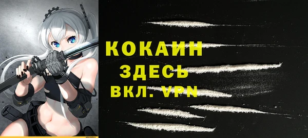 шишки Алексин