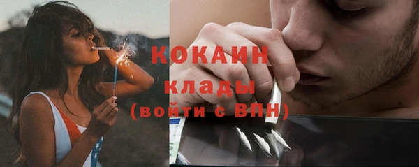 прущие грибы Абаза