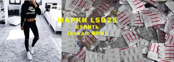 прущие грибы Абаза