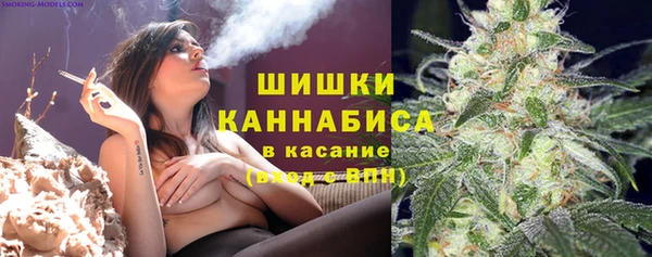 прущие грибы Абаза