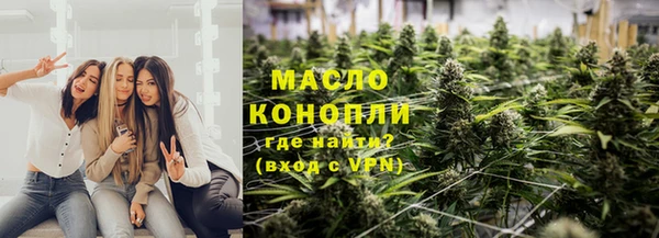 прущие грибы Абаза