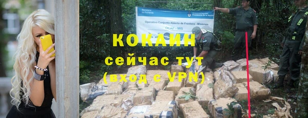 дживик Абинск