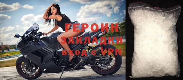 прущие грибы Абаза