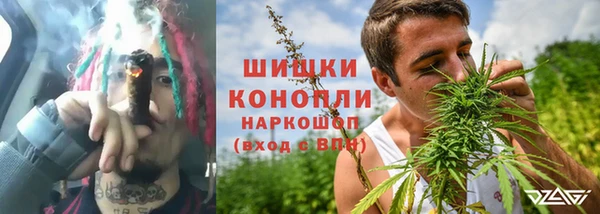 шишки Алексин